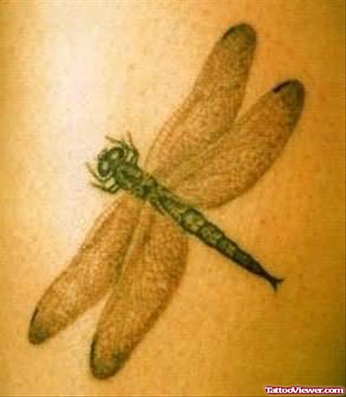 Dragon Fly Tattoo Design On Back