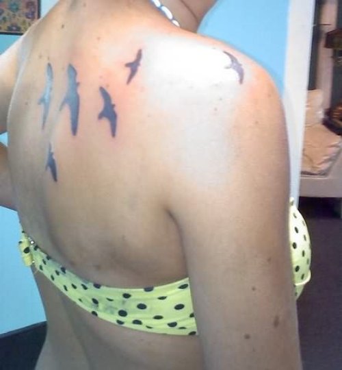 Birds Tattoo On Back & Shoulder