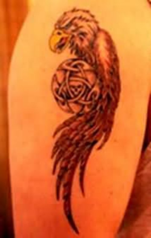 Bird Tattoo Design On Knee