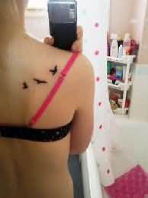 Birds Flying On Back Tattoo