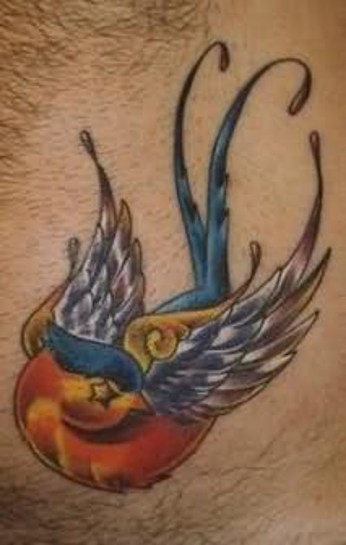 Colourful Sleeping Bird Tattoo On Back
