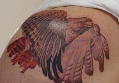 Red Tail Hawk Bird Tattoo