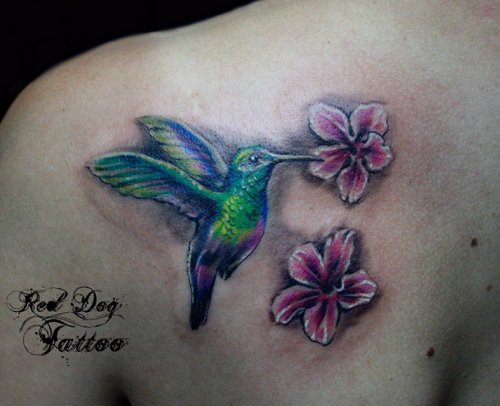 Color Flowers And Bird Tattoo on Left Back Shoulder