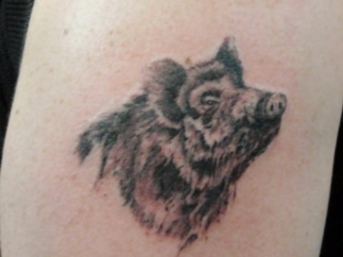 Awesome Grey Ink Wild Boar Head Tattoo Image