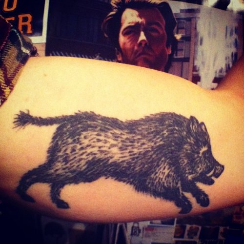 Black Boar Tattoo On Bicep