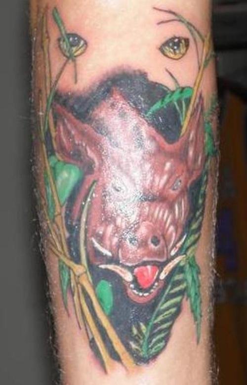 Color Ink Eye And Wild Boar Head Tattoo