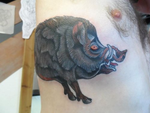Grey Ink Boar Tattoo On Rib Side