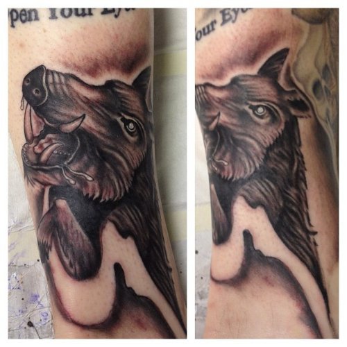 Awesome Grey Ink Wild Boar Head Tattoo