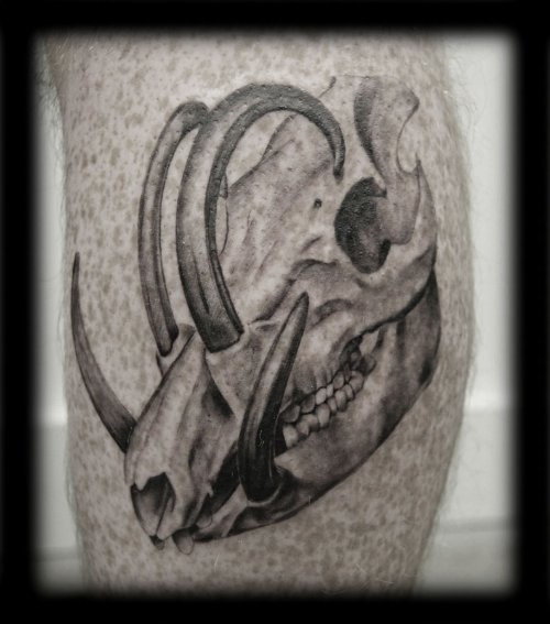 Black and Grey Ink Boar Skull Tattoo Image
