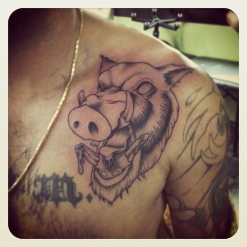 Grey Ink Wild Boar Head Tattoo On Left Collarbone