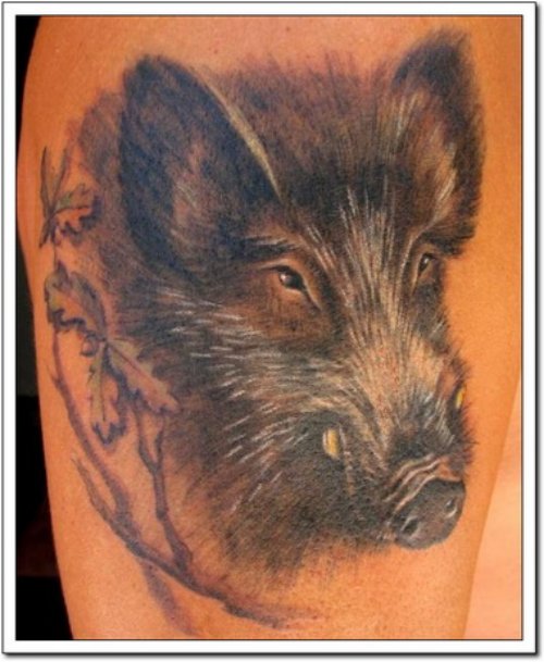 Black Boar Head Tattoo