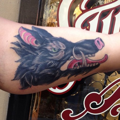 Wild Boar Head Color Ink Tattoo On Arm