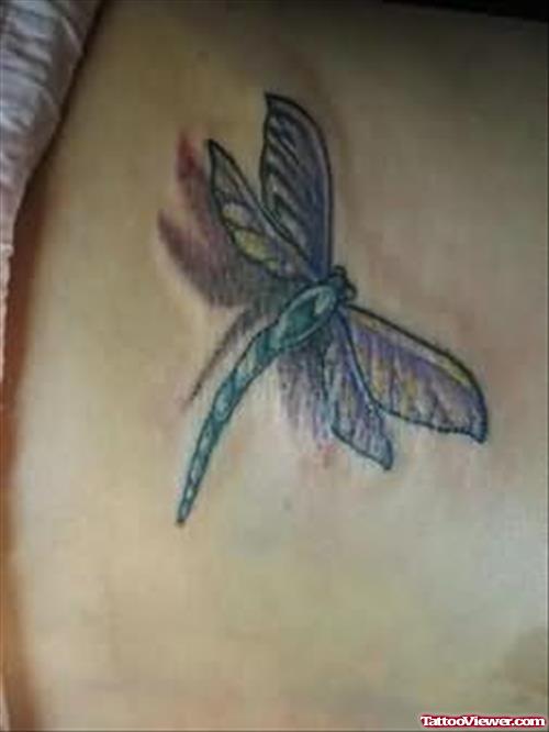 Amazing Bug Tattoo Design On Back