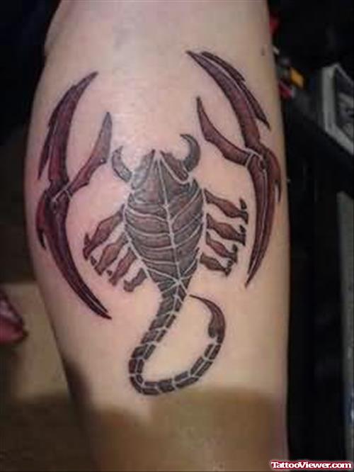 Scorpion Elegant Bug Tattoo