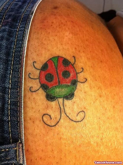Lady Bug Tattoo On Waist