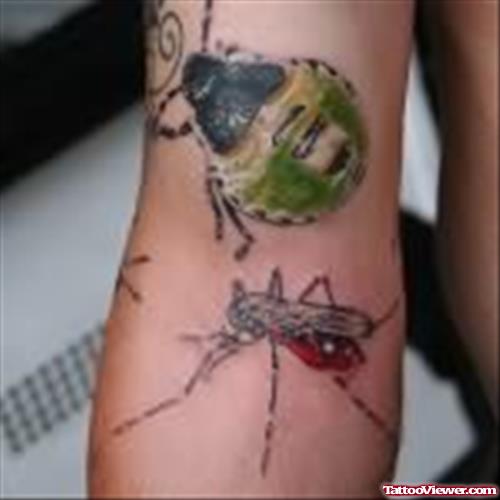 Insect & Bug Tattoo On Arm
