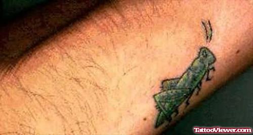 Small Size Bug Tattoo
