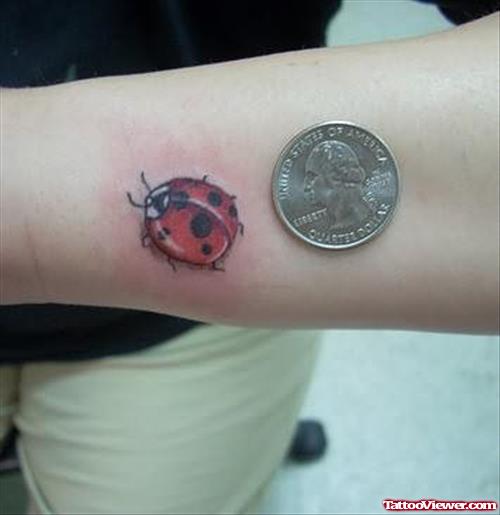 Little Bug Tattoo On Wrist