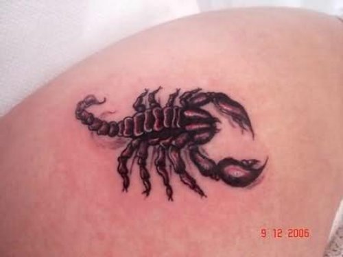 Scorpion - A Bug Tattoo