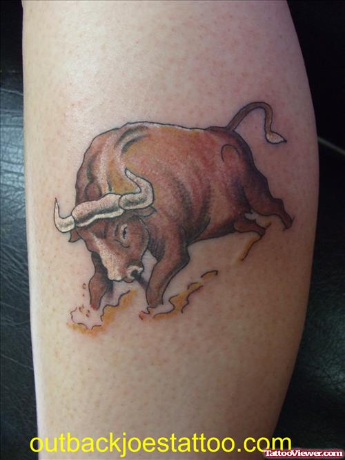 Bull Tattoos Photos