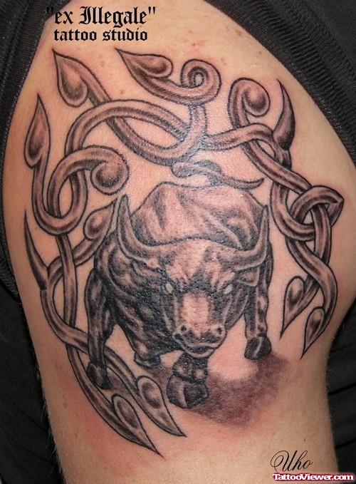 Amazing Taurus Bull Tattoo On Shoulder