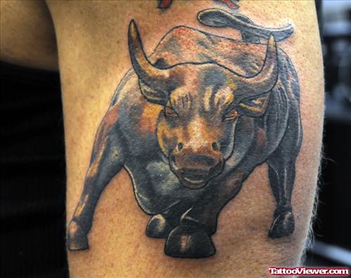 Bull Tattoo For Boys And Girls