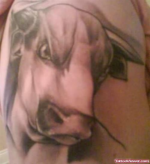 Beautiful Bull Tattoo Design
