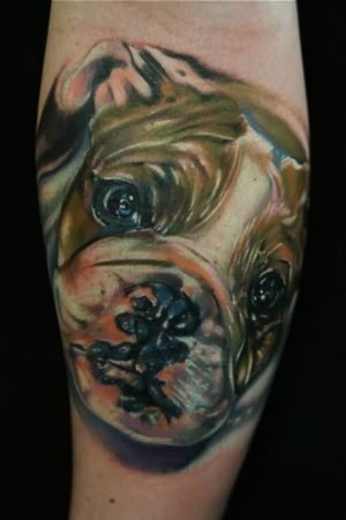 Mike Demasi - Bull Dog Tattoo