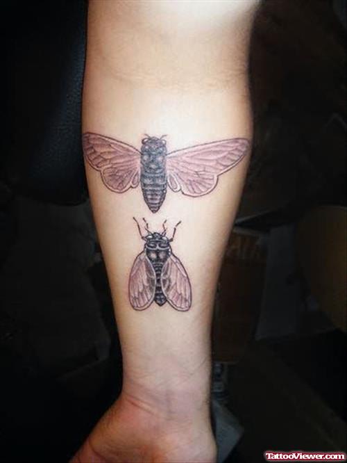 Bumble Bee Tattoos On Arm