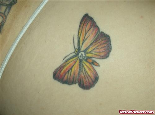 Colored Butterfly Tattoo On Back