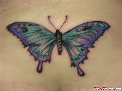Awesome Colored Ink Butterfly Tattoo