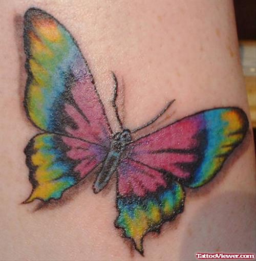 Beautiful Colored Butterfly Tattoo