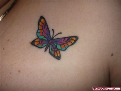 Awesome Colored Butterfly Tattoo