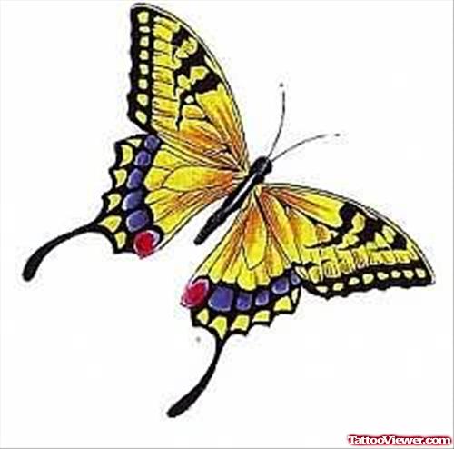 Coloured Butterfly Tattoo Design