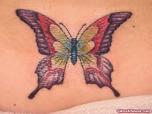 Colorful Butterfly Back Tattoo