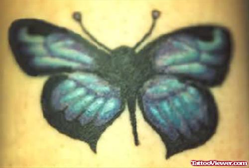 Shining Green Butterfly Tattoo