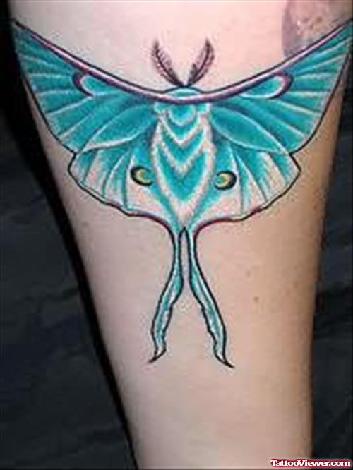 Lovely Green Butterfly Tattoo