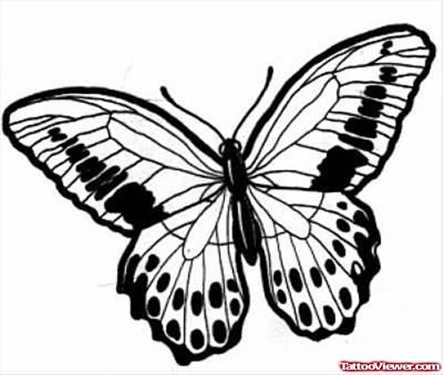 Butterfly Tattoo Picture Design