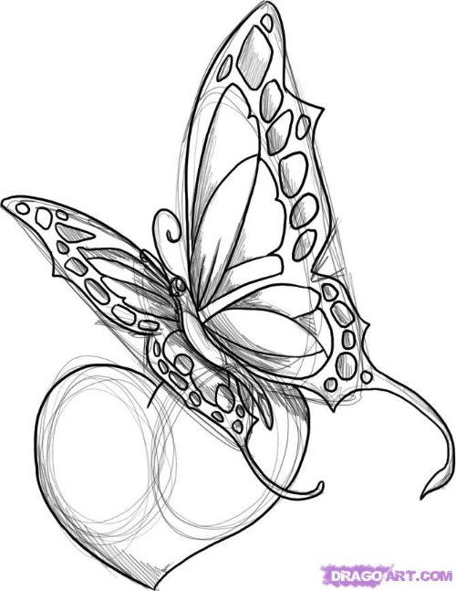 Heart And Butterfly Tattoo Design