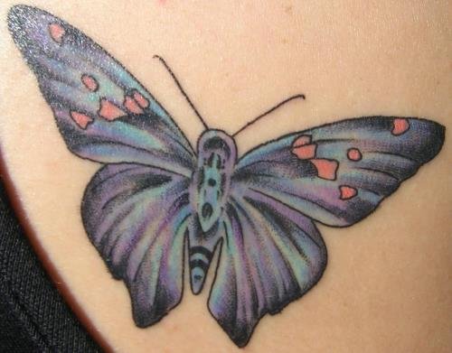Attractive Colored Butterfly Tattoo