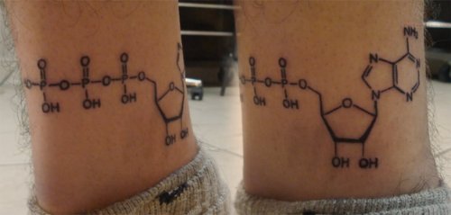 Chemical Compund Web – Caffeine Tattoo On Legs