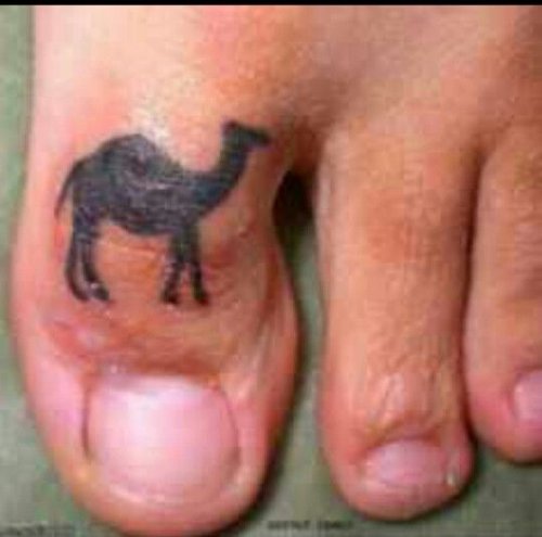 Small Black Camel Tattoo On Right Toe