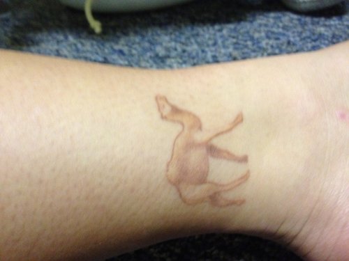 Camel Tattoo On Ankle