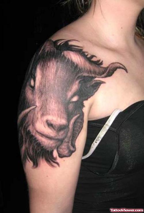 Grey Ink Goat Head Capricorn Tattoo On Right SHoulder