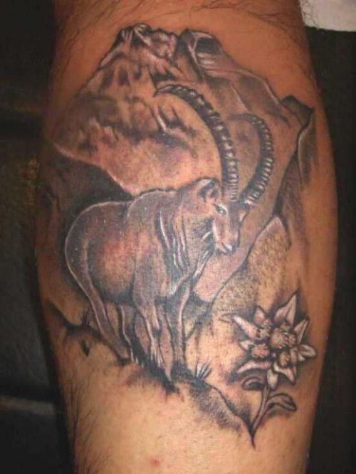 Grey Ink Capricorn Tattoo On Back Leg