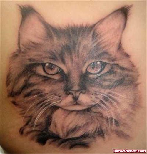 Get Started With Cat Tattoo