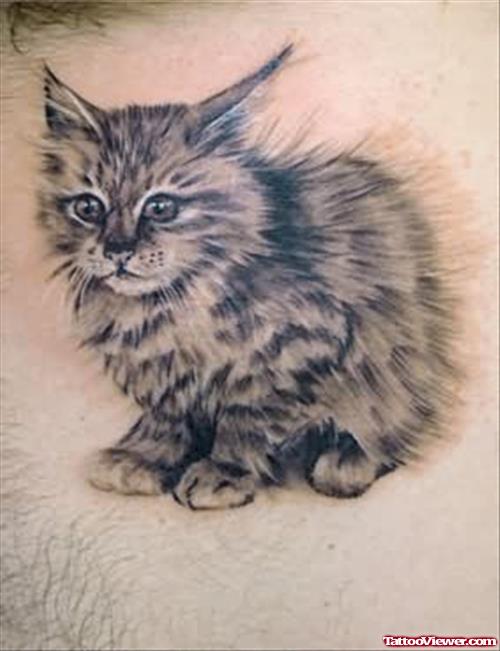 Cat Tattoos Gallery