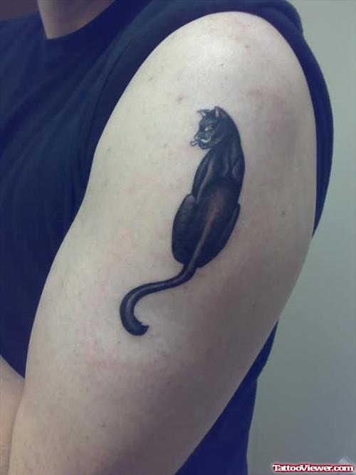 Black Cat Tattoo On Arm