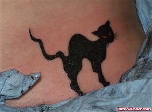 Cat Red Eyes Tattoo On Back