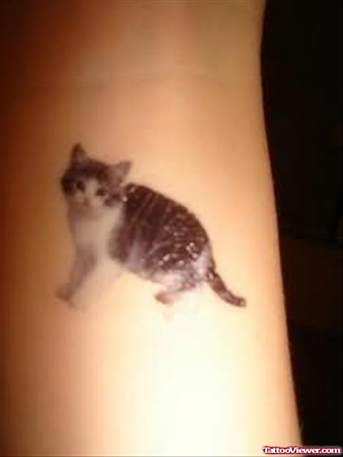 Beautiful Cat Tattoo Picture